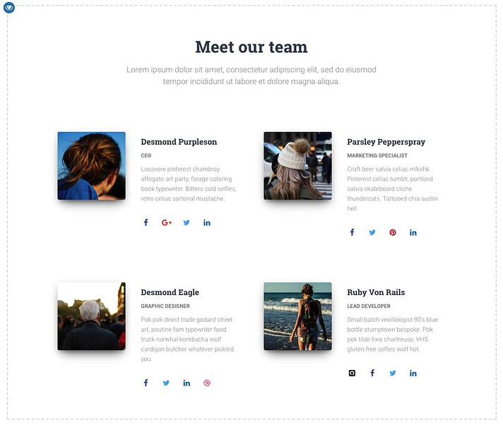 team section.